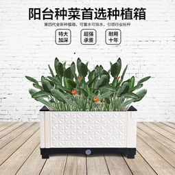 臺州市黃巖方貝塑料模具廠