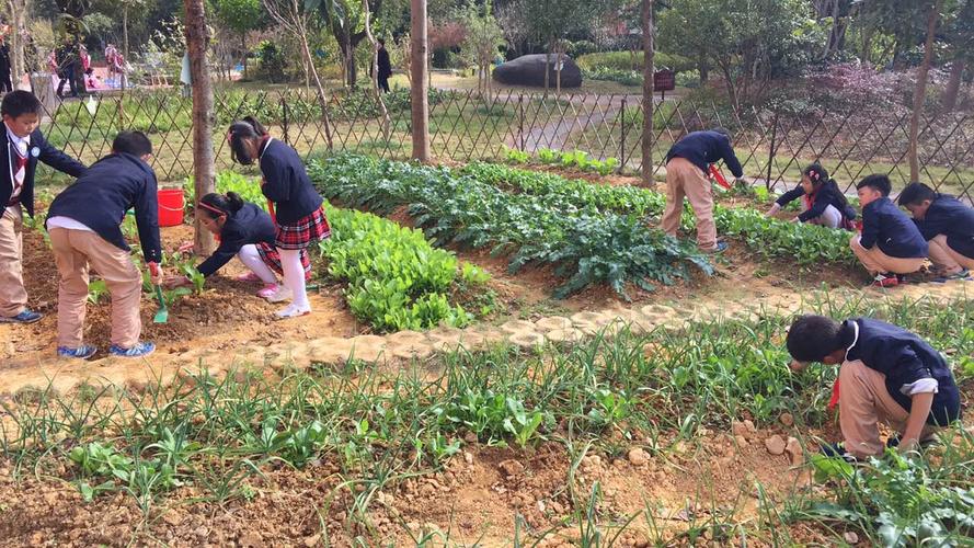 《園藝植物栽培學》實踐教學質量改革研究