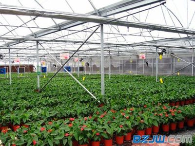 【生態(tài)溫室大棚|哪里的園藝溫室口碑好】_生態(tài)溫室大棚|哪里的園藝溫室口碑好價格_生態(tài)溫室大棚|哪里的園藝溫室口碑好廠家-到中華標(biāo)準(zhǔn)件網(wǎng)