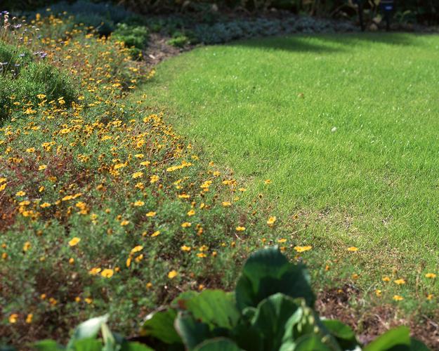 花草園藝23 圖片信息