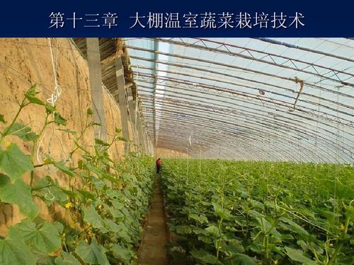 設施園藝(大棚溫室蔬菜栽培技術)--農廣校ppt
