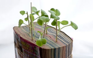 漫畫農(nóng)場 創(chuàng)意 慢生活資訊 慢時間