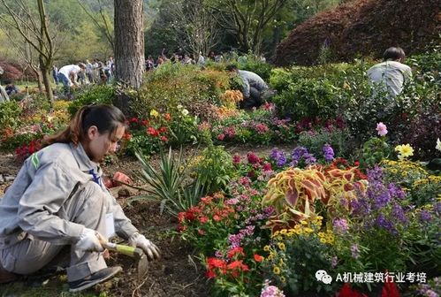 考個園藝師證怎么報名考取一個需要多長時間費用多少