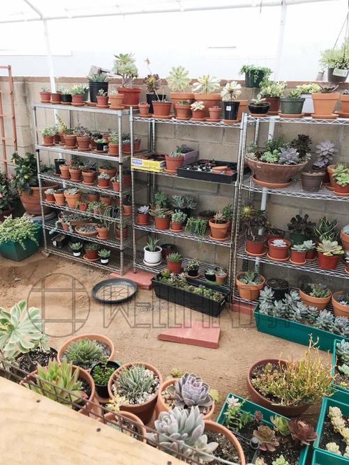 湖南花場園藝場花店立體種植場培植機構案例