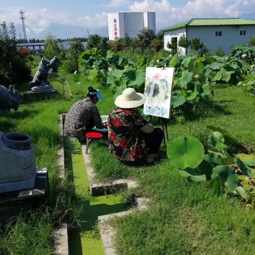 走向我們的小康生活 二 荷花 映紅 致富路