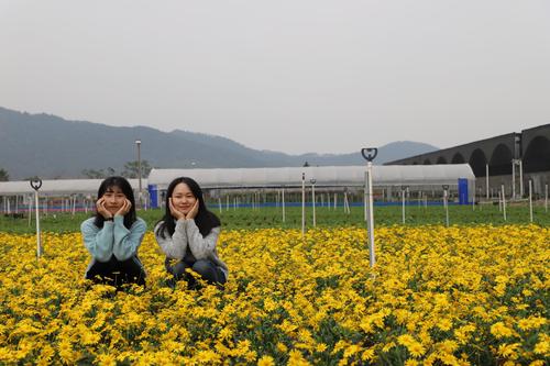 佛山市順德區旺林園藝景觀!