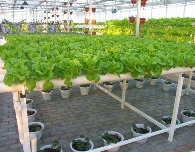 管式無土栽培設施 (中國 北京市 生產商) - 園藝用具 - 園藝 產品