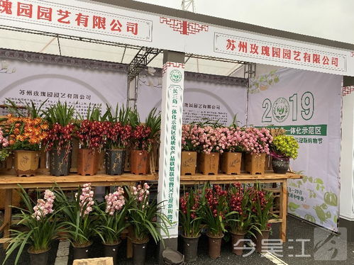 2019年農(nóng)展會27日開幕 多種優(yōu)質(zhì)農(nóng)產(chǎn)品登場