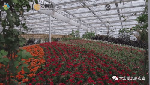 全面展現鄉村振興的 開封模式