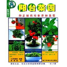 陽臺菜園 用盆缽栽培香草和蔬菜 內藤朗