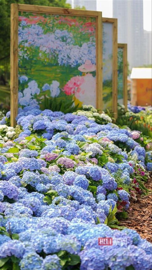 觀奇花,學(xué)園藝 上千種花卉怒放世界花園大會