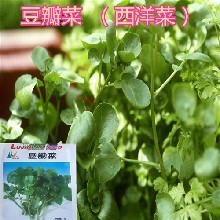 天津市綠生園種苗種植