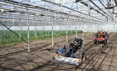 這些國家的植物工廠,已經完全可以用智能機器人代替人工了!