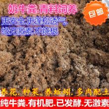  河南金禾花卉公司 主營 花卉 杜鵑花 溫室租