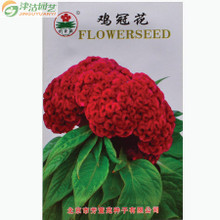 【好種的花】最新最全好種的花 產品參考信息