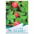 薔薇花籽 - 所有類別 - 亞馬遜