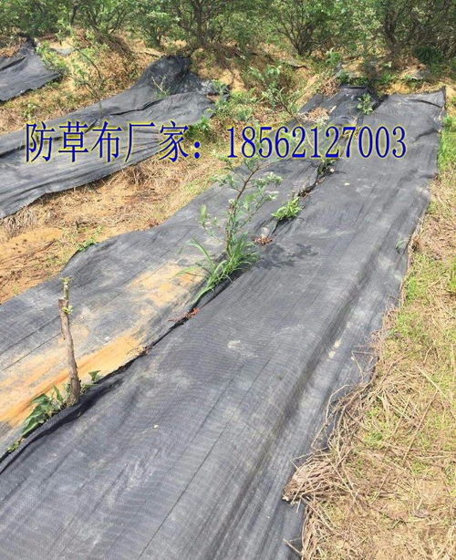 【河南地布一平米_優質商品價格】- 