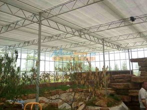 花卉種植大棚承建 山東稱心的花卉種植大棚 青州市瑾玉溫室園藝工程