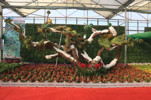 500張門票免費送 玩游戲就能獲獎 包頭發(fā)布帶你 一路向福 嗨新年