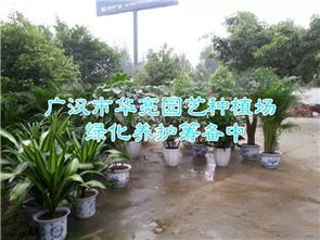 精選圖片帖 第423頁