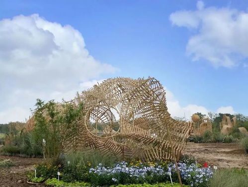 中秋節到青龍湖打卡,一覽 神秘花園