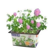 【種植介質】最新最全種植介質 產品參考信息