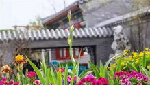 唐僧文旅推薦 世園會暢游北京園,這些景點必須打卡 持續更新
