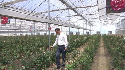 到2022年率先基本實現農業農村現代化 無錫奮力譜寫鄉村“強富美”新篇章