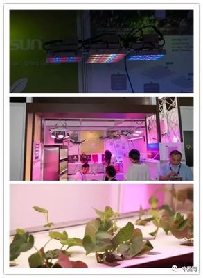 2018香港國際春季燈飾展三大看點!