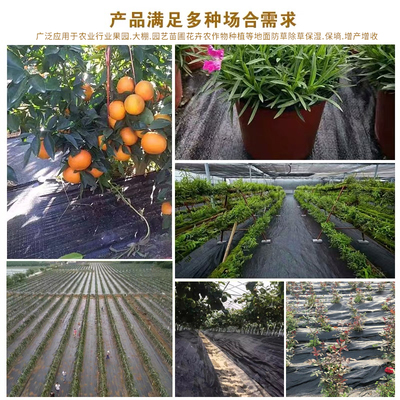 防草布抗老化園藝地布果園果樹遮草蓋草布大棚加厚地膜農用除草布