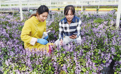 直播帶貨打開農產品銷售新渠道