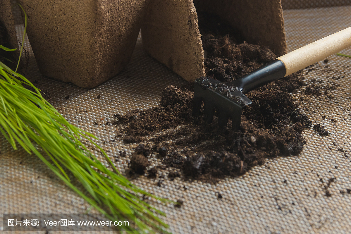 植物季節性移栽準備,園藝。產品靜物圖像。園林中的種植概念。