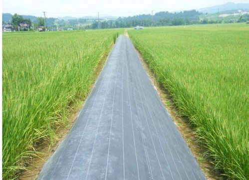 【長期供應(yīng)防草布園藝除草布抗老化pp抑草布】- 