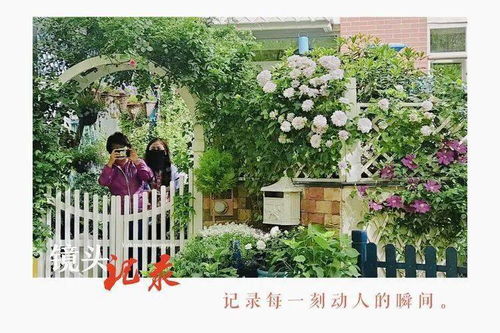 10年修1園,這個(gè)坐落在青島的46平米小院,四季有景,繁而不亂,成了朋友們眼里的 詩和遠(yuǎn)方 院子