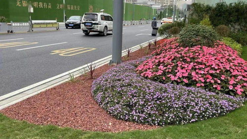 主干道變身 景觀花園
